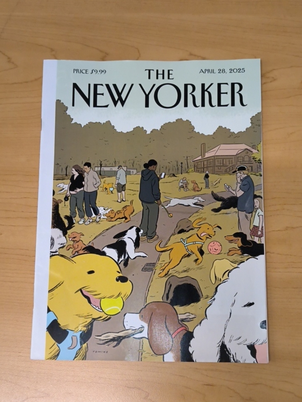 The New Yorker Magazine Adrian Tomine’s “Lucky Dogs”:April 28, 2025